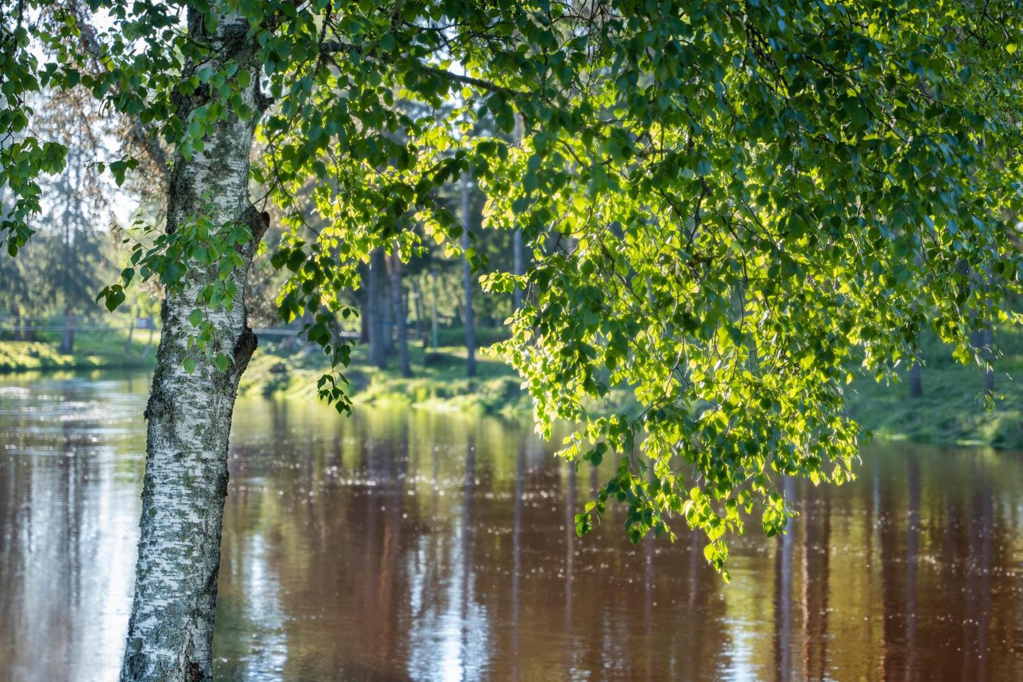 Spa Hotel Runni Iisalmi Exteriör bild
